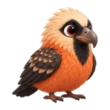 Bearded vulture, one of the 64 TumbleWing birds