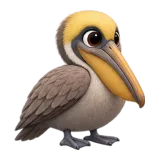Pelican, one of the 64 TumbleWing birds