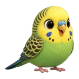 Budgerigar, one of the 64 TumbleWing birds