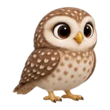 Burrowing owl, one of the 64 TumbleWing birds