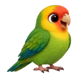 Carolina parakeet, one of the 64 TumbleWing birds