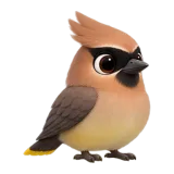 Waxwing, one of the 64 TumbleWing birds