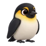 Emperor, one of the 64 TumbleWing birds