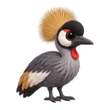 Crowned crane, one of the 64 TumbleWing birds