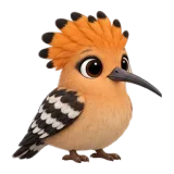 Hoopoe, one of the 64 TumbleWing birds