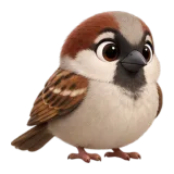 House sparrow, one of the 64 TumbleWing birds