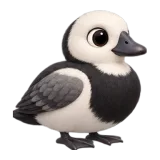 Labrador duck, one of the 64 TumbleWing birds