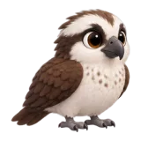 Osprey, one of the 64 TumbleWing birds
