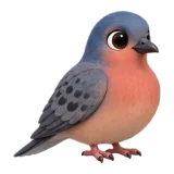 Passenger pigeon, one of the 64 TumbleWing birds
