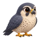Peregrine, one of the 64 TumbleWing birds