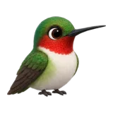 Hummingbird, one of the 64 TumbleWing birds