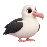 Albatross, one of the 64 TumbleWing birds